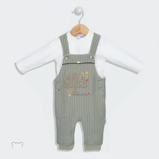 Luxurious Set of 2 Baby  Velvet Overalls in Premium Egyptian Cotton Color mint green