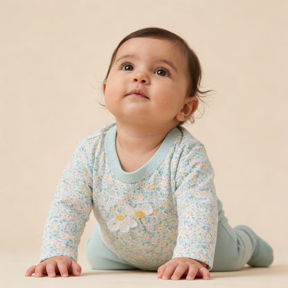 The Sage Daisy Set